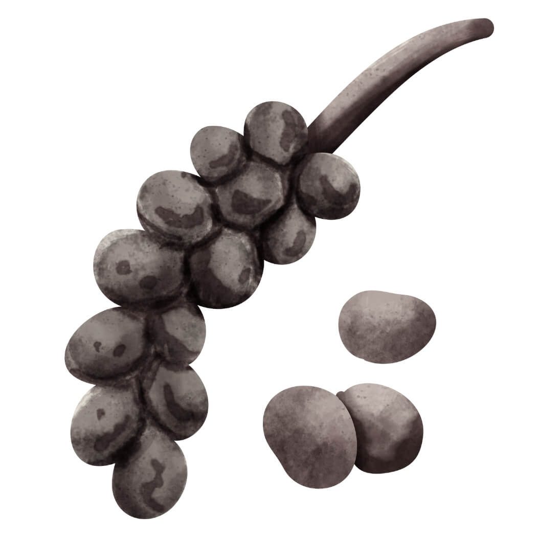 Černý pepř